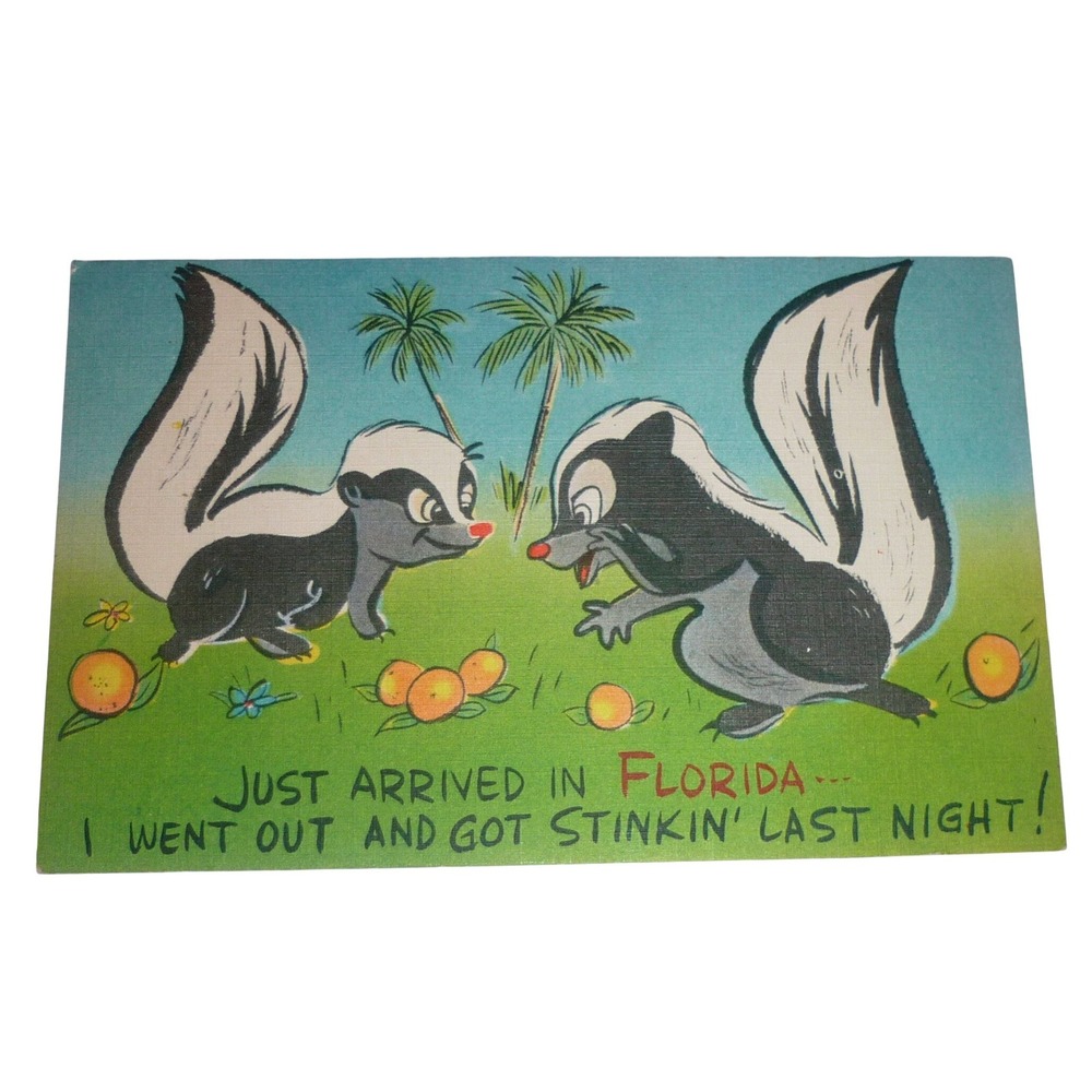 Florida Novelty Postcard Got Stinkin Last Night Skunks Hartman Litho Unposted